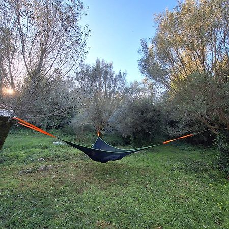Vila Moradia Rural De Charme Agradavel E Acolhedora Arrimal Exteriér fotografie