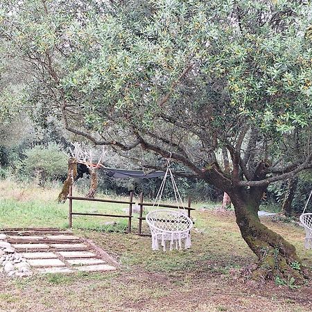 Vila Moradia Rural De Charme Agradavel E Acolhedora Arrimal Exteriér fotografie