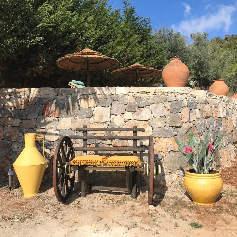 Vila Moradia Rural De Charme Agradavel E Acolhedora Arrimal Exteriér fotografie