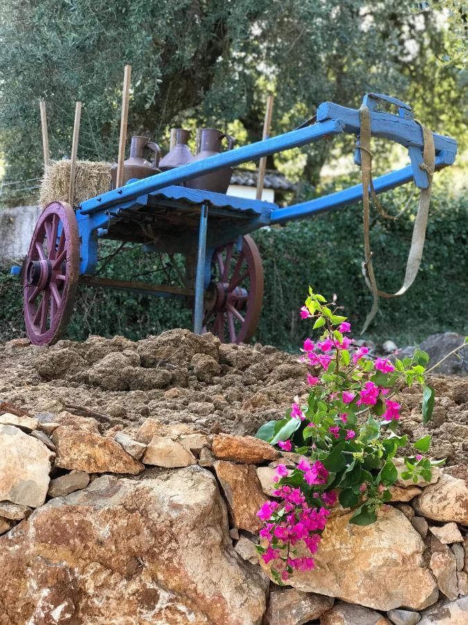 Vila Moradia Rural De Charme Agradavel E Acolhedora Arrimal Exteriér fotografie