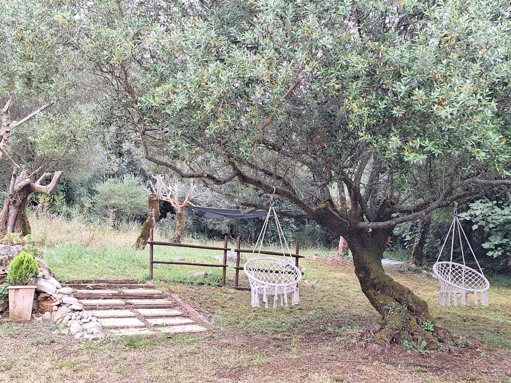 Vila Moradia Rural De Charme Agradavel E Acolhedora Arrimal Exteriér fotografie